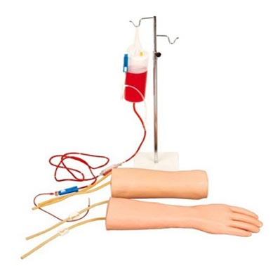 手部、肘部组合式静脉输液（血）训练模型